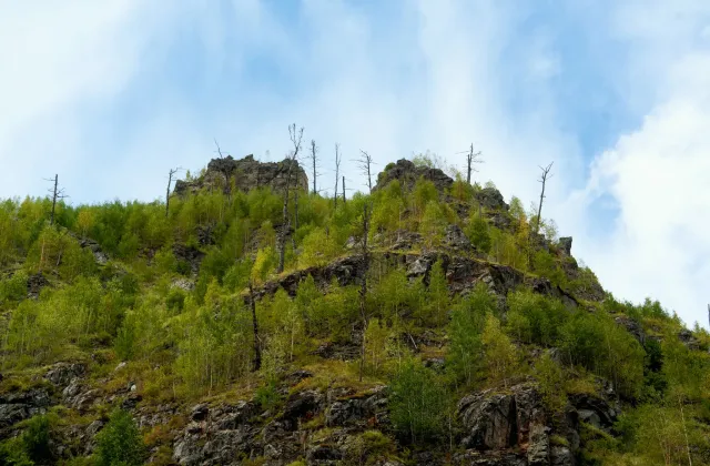 Сплав по реке Анюй &mdash; фото 130 из 204, август 2026