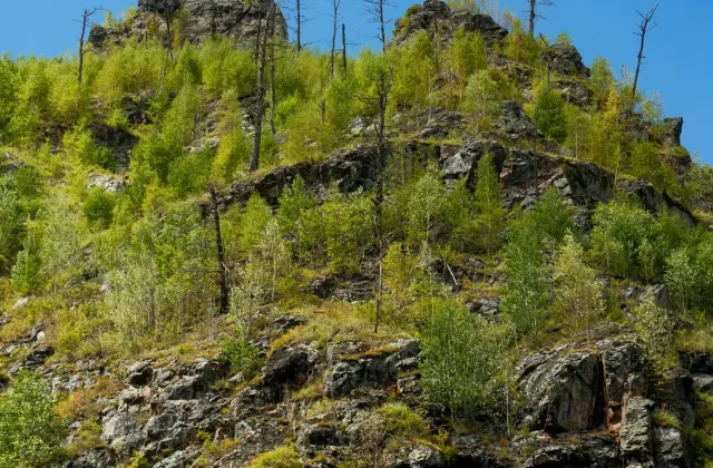 Сплав по реке Анюй &mdash; фото 131 из 204, август 2026