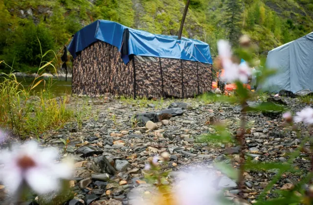 Сплав по реке Анюй &mdash; фото 157 из 204, август 2026