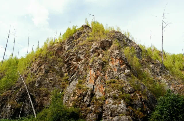 Сплав по реке Анюй &mdash; фото 181 из 204, август 2026